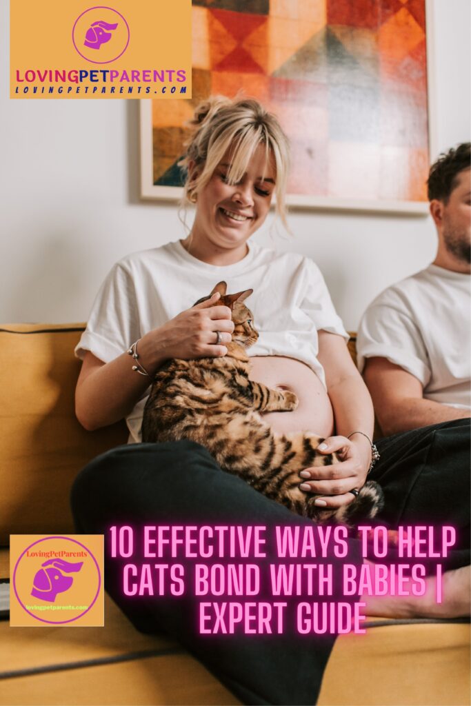 10 Effective Ways to Help Cats Bond With Babies
