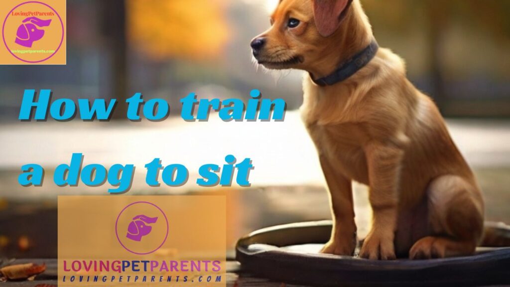 How to Train a Dog to Sit - Mastering Obedience.